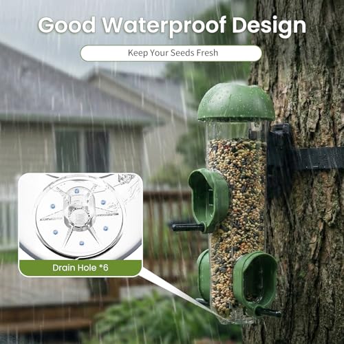 ‌LONA 2 Pack Tube Bird Feeders, Weatherproof Design with 3 Feeding Ports | Easy-fill Top Design, 2 Ways for Hanging, Suits Mixed Seeds, Squirrel-Proof Bird Feeder for Backyard/ Garden/ Patio, Green - size: 3 Ports ×2