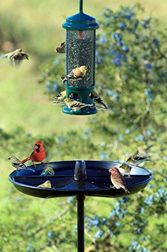 Seed Buster Seed Catcher Tray - REQUIRES a BirdsUP Single Pole | Requires a BirdsUP single pole