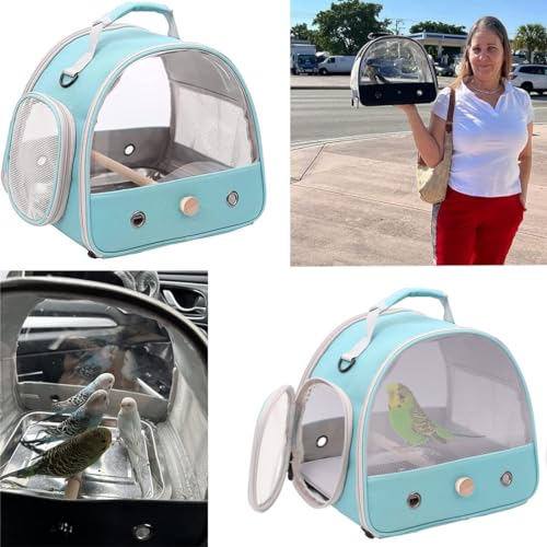 Bird Carrier, Portable Small Bird Parrot Parakeet Carrier with Standing Perch and Soft Mat, Side Access Window Collapsible (Green, Mesh Windows) - color: Green