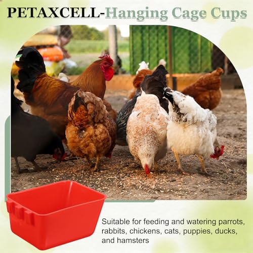 Cage Cups, 4.9x3.7x2.4 Inch Parakeet Feeder Bird Cage Accessories Hanging Food Water Dispenser, (Green, 6 Pcs), Intended for Pet/Pigeon/Parrot/Chicken - color: Green