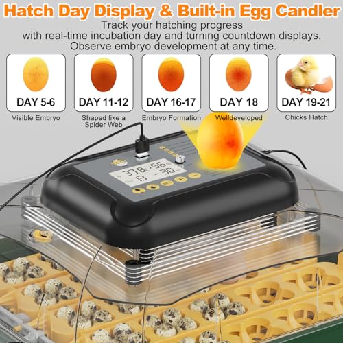 25 Egg Incubator for Hatching Eggs with Automatic Egg Turning, Temperature & Humidity Display, Hatch Day Countdown, Auto Water Refilling System, Egg Candler, Multifunctional Egg Tray for Chicken - size: M- 25 Chicken Eggs