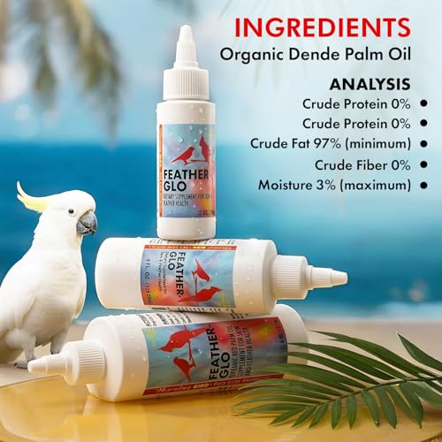 Morning Bird Feather Glo 4 oz – Cold Pressed Red Palm Oil - Natural Vitamin A & E Supplement for Birds – Supports Feather Shine, Skin Health & Immunity – Vitamin & Energy Boost for All Bird Types | A & E Vitamin Supplement for All Birds – Supports Feather