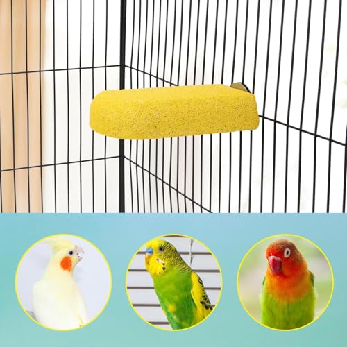 Hypeety Bird Beak Grinding Stone Cage Calcium Mineral Paw Grinding Block | Natural calcium stone, provides calcium and beak care, durable chew-proof, for parrot/chinchilla/hamster, 1pc, random color - color: Perch Stand