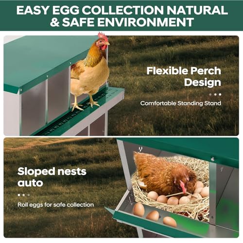 10 Compartment Chicken Nesting Box, Heavy Duty Metal Laying Box with Perch, Easy Assembly & Easy Clean for Outdoor Chicken Coop, Green - color: Green, size: 10 Compartment with legs