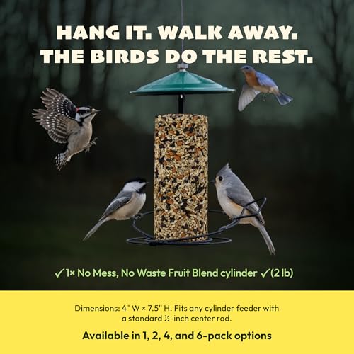 JCs Wildlife No Mess No Waste Fruit Blend Bird Seed Cylinder with Hole, Hull Free Wild Bird Food for Outside Feeders, Cardinals Woodpeckers Chickadees Nuthatches Wrens, Made in the USA, 2 lb Pack of 1 - size: 2 Pound (Pack of 1)