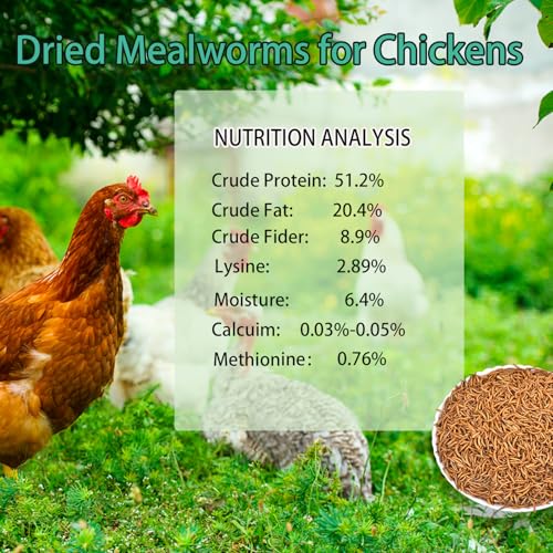 Dried Mealworms for Chickens 10LB Meal Worms for Laying Hens Wild Birds | Pure Natural Non-GMO High Protein - size: 10 Pound (Pack of 1)