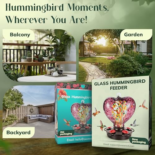 Hand Blown Glass Hummingbird Feeder for Outdoors All Season Use - 28 Fl. Oz. Leak Proof Hummingbird Feeder with Rust Proof Base - Includes Ant Moat, Ant & Bee Proof (Purple) - color: Purple
