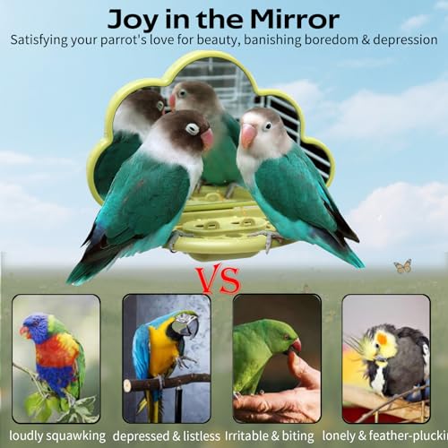 Bird Mirror Toy with Perch & Slow Feeder, Bird Cage Accessories Parakeet - color: Green