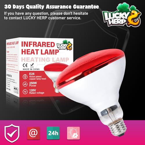 LUCKY HERP Infrared Heat Lamp for Chickens, 250 Watt Red Heat Lamp Bulb, 2 Pack Heat Light Bulb, Brooder Heat Lamp for Chicks Coop, Reptiles, Amphibian, Pet, Food Service - style: 250W Heat Lamp 2 PACK