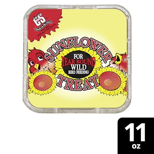 C&S Sunflower Suet Treat, Suet Cakes for Wild Birds, Pack of 8 | Suet cakes for woodpeckers, made with sunflower, use in a suet feeder year-round - style: Sunflower, 8 Pack