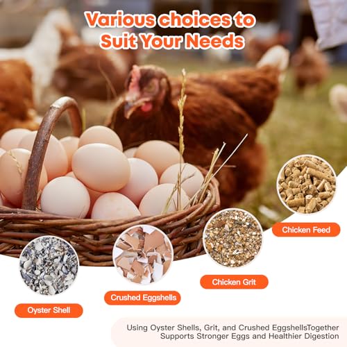 CHUANGFENG Chicken Feeder – Wall Mounted Metal Oyster Shell & Grit Feeder for Chickens, Heavy Duty Coop Feeder with Rust-Resistant Steel, Ideal for Backyard Poultry & Small Farms