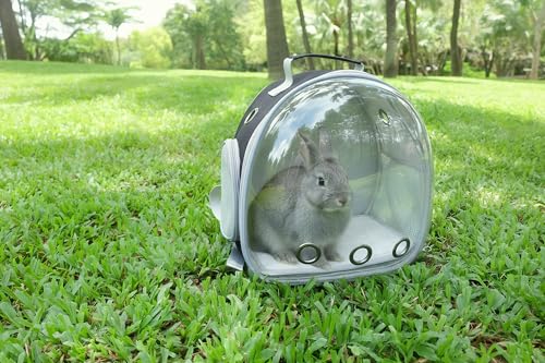 Small Animal Carrier Guinea Pig Backpack,Transparent, Breathable Backpack Carrier for Hedgehogs, Rabbits, Birds, Squirrels, Hamsters, Lizards Comfortable, Portable Travel Bag for Small Pets (Black) - color: Black