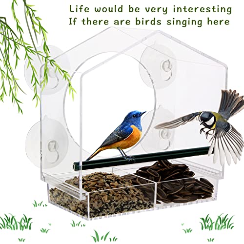 Acrylic Window Bird Feeder with 4 Strong Suction Cups, Clear and Transparent Bird House, Removable Food Tray with Drain Holes, Easy Install and Clean for Backyard and Viewing