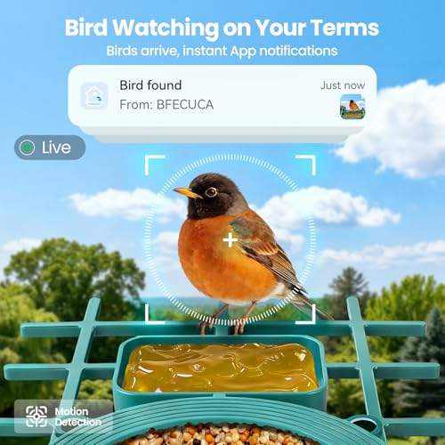 Smart Bird Feeder with Camera : 2K HD Video Live Stream, AI Birds Species Identification ＆ Instant Arrival Alerts, Solar Bird Feeder Camera for Outdoor Backyard, Ideal Gifts for Families nature lovers - color: Green