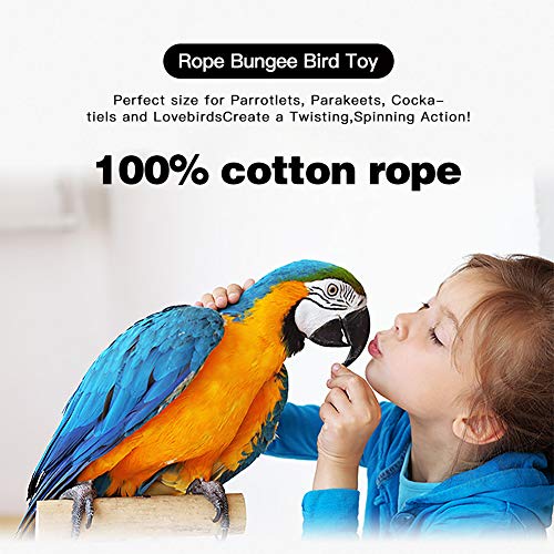 Bird Rope Perch Parakeet Toys, Spiral Cockatiel Toy, 63" Bird Bungee Rope Perches, Cage Accessories