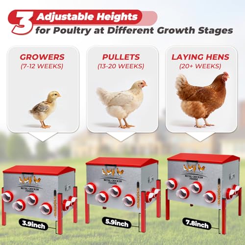 Automatic Chicken Feeder 100LBS Large Capacity, 12 Anti-Waste Ports Metal Poultry Feeder with Height Adjustable Stand, Waterproof Rodent Proof Feed Box with Lid Viewing Window for Hens Ducks Geese - size: 100LBS