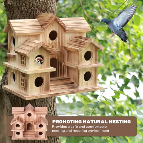 10-Room Purple Martin Bird House – Handcrafted Solid Cedar, Weatherproof