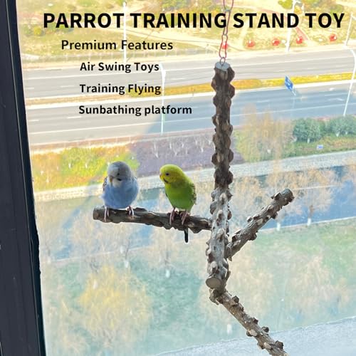FlidRunest Bird Perch, Hanging Bird Tree Ceiling Perch Swing Toy, Natural Pepper Wood Bird Training Toy for Parrot Parakeet Cockatiel Conure Small-Medium Birds