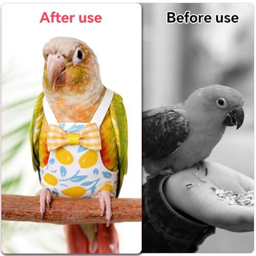 4pcs Reusable Bird Diapers, Cute Pet Bird Diaper with Waterproof Inner Washable Parrot Nappy Pants for Parakeet Cockatiel Budgie Pigeon Lovebird Canary (4 Fruit-Themed Styles)