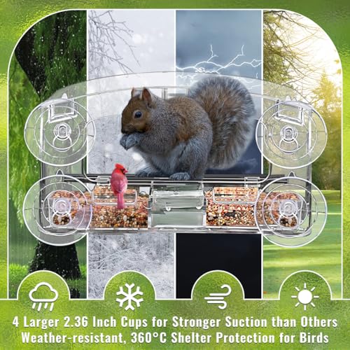 Window Bird Feeder with 4 Strong Suction Cup | 2.36 " heavy duty suction cups, close-up outdoor viewing, bird watching gift for wildlife lovers, fits cardinals, finches - color: Black