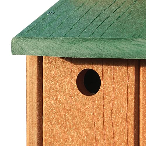 Audubon Going Green Wren House Model NAGGWREN