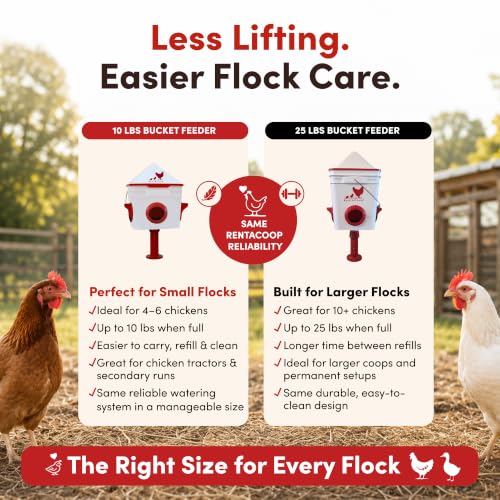 RentACoop Chick2Chicken 10lb BPA-Free 4-Medium Port Feeder