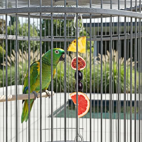 3 PCS Bird Food Holder, Stainless Steel Birds Cage Feeder, Bird Treats Skewer Stick Hanging Vegetable Fruit Cage Treating Tool, Feeder Foraging