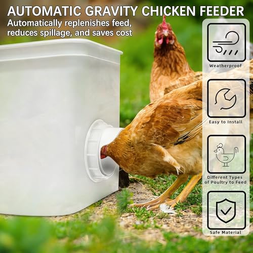 Chicken Feeder Port, 12 Chicken Feeders No Waste,12 Lids 1 Drill Bit, White | Rainproof DIY Automatic Poultry Feeder Cups Kit, Common Breeds Chicken Bucket Feeder for Barrels - color: White, size: 12 pack