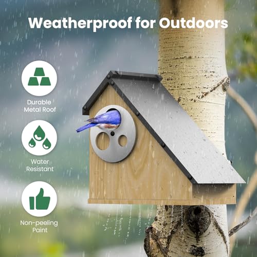 Bird House - Adjustable Entrance Fit All Birds, Outdoor Bird Houses for Outside Weatherproof, Durable Wood Birdhouse for Bluebird, Finche, Wren, Chickadee, an Ideal Backyard Decoration (Iron Roof)
