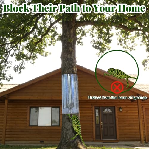Iguana Tree Wrap 65" L X 16" W Squirrel Baffle for Bird Feeder Poles Plastic Tree Trunk Protector Guard Reusable Squirrel Guard Tree Wrap Clear Anti-Climbing Tree Barrier with Adhesive Tapes - size: 65x16IN