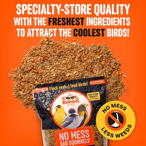 Cool Birds No Mess Sad Squirrels Hot Bird Seed, 10 lb | Spicy shell-free blend of peanuts, sunflower hearts & chili pepper oil – Birds can't detect heat, critters can