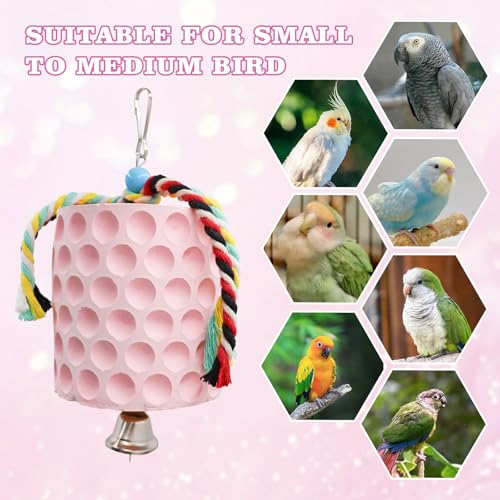 Bird Beak Grinding Stone, Parrot Chew Toys with Bells, Bird Toys, Cage Accessories for African Grey, Amazon Parrots, Budgies, Cockatiels, Lovebirds, Conures, Quakers, Small to Medium Birds - color: Pink