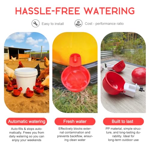 32 Pack Auto Chicken Poultry Waterer Cups Feeder for Diy Chicken Coop Automatic Watering Cup Dispenser Drinker Bebederos De Agua Para Gallinas with Mounting Hole Opener Double Leak-proof Washer - size: 32 Pcs