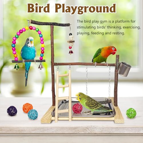 Bird Playground Parrot Playstand Parakeet Gym Playpen Cockatiel Play Stand Wood Perch Exercise Activity Center Ladders Feeder Cups Cage Accessories Swing Chew Toys for Cockatoo Budgie Lovebird Finch