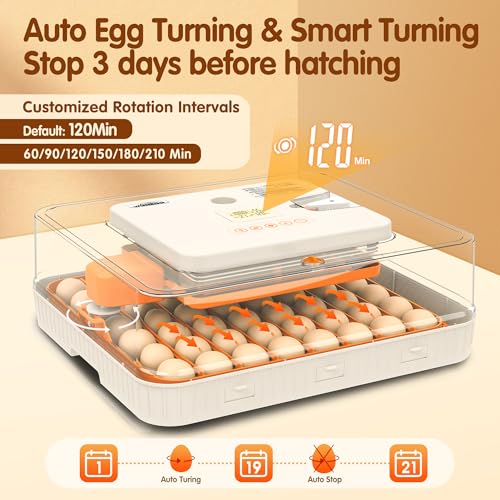 56 Egg Incubators for Hatching Eggs with Auto Egg Turner, Automatic Humidity & Temperature Control, LED Candle Light, Hatch Days Display, 360° View for Chicken, Duck, Goose, Quail, Bird Eggs - size: 20.0"L x 8.0"W x 18.0"H