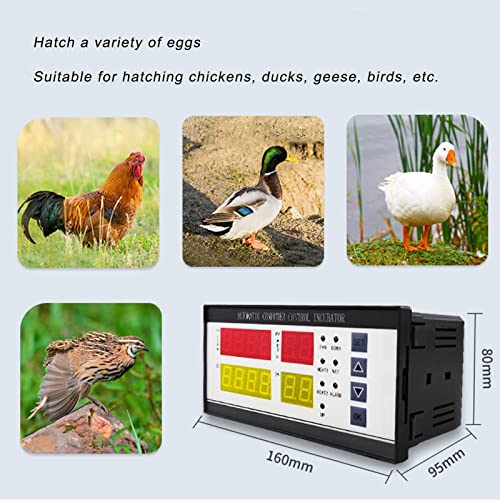 Incubator Controller XM-18ZH Fahrenheit 7-Way for Hatching Eggs | Digital incubator controller with Fahrenheit display.7-way output.Temp humidity sensors.Built in alarm.Adjustable egg turning