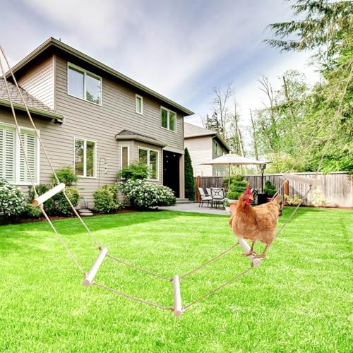Extra Long Chicken Perch Stand, Natural Wood Chick Swing Toy for Coop, Chicken Coop Accessories, Chicken Roosting Bars, Outdoor Perch Toy for Poultry Chicken Chick Hens Large Bird Parrot 138 × 16 Inch