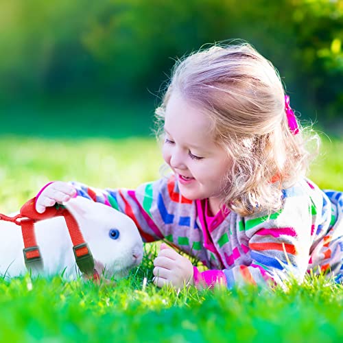 Tondiamo 4 Pcs Adjustable Bunny Harness and Leash Set for Small Pet,Fruit | Cute Vest Harnesses, for Rabbits Ferrets Guinea Pig Kitten Puppy, Small Pet Supply, Adjustable Straps, Fruit Design - color: Fruit