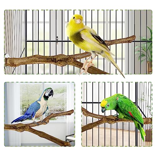 kathson Natural Parrot Perch Bird Stand Pole Wild Grape Stick Paw Grinding Fork Parakeet Climbing Standing Branches Toy Chewable Cage Accessories for Small Budgies Cockatiels Lovebirds 2PCS