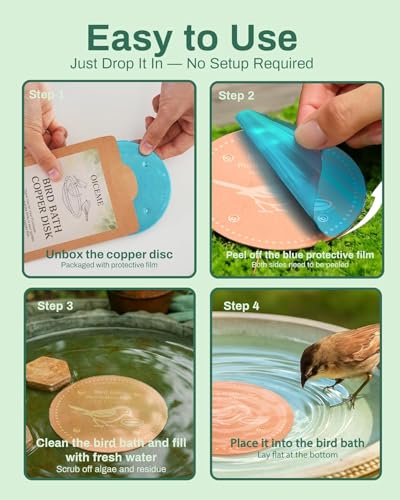 OICEME Bird Bath Purification Disk Pure Copper Backyard Outside Solar Power Wild Hummingbird Pedestal Fountain Cleaner Outside Humming Feeder Cage Dispenser Ground Safe Lover Women Gifts - color: Copper 3PCS Bird&Butterfly&Daisy