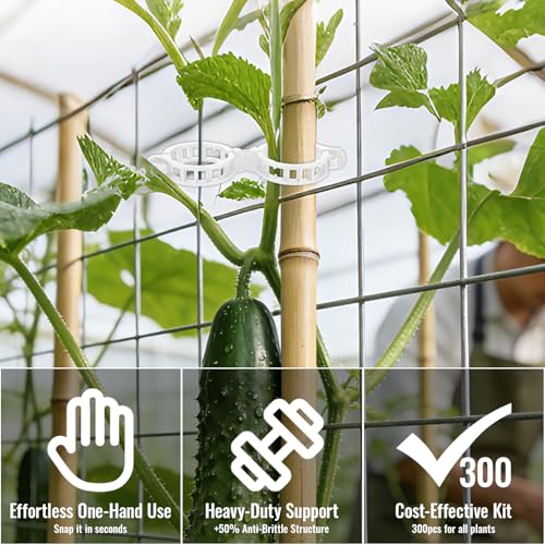 300Pcs Thickened Tomato Clips, Plant Support Clips Plastic Trellis Clips | Plant Clips for Grape Vine, Tomato Vine, Vegetable Plants, to Grow Upright Makes Plants Healthier, White - color: White
