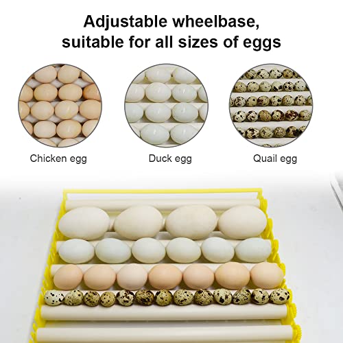 Morishima Automatic Multifunction Incubator Egg Tray Turning Hatcher for Chickens/Ducks/Birds/Poultry（9 Tubes） - color: 9 Tubes