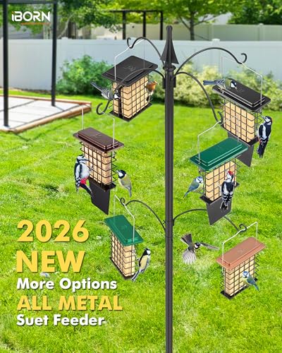 iBorn Suet Feeder with Tail Prop,Woodpecker Feeder,Suet Feeders for Outside Hanging,Suet Bird Feeders for Outdoors,Heavy-Duty Suet Cage,Suet Holder,Rainproof Roof,Easy Clean and Refill,1 Pack,Coffee - color: Coffee, size: Single Capacity