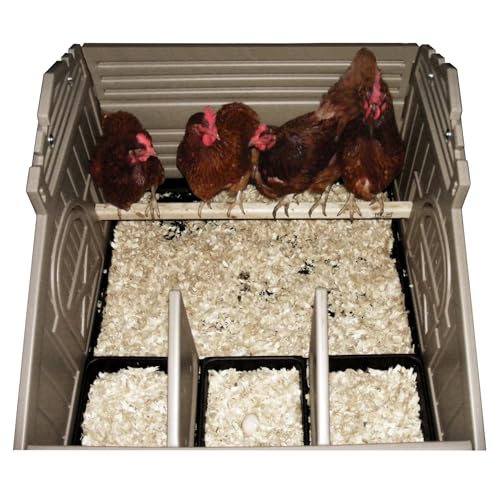 SnapLock Formex Standard Chicken Coop for 4 Chickens – Durable Plastic Hen House with Easy Assembly, Ventilation, Removable Tray & Walk-in Access | Lightweight Outdoor Casa para Gallinas - style: Standard Coop