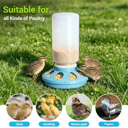 Chick Feeder and Waterer Set, 0.26Gal Quail Waterer with Balls Anti-Drown Chicken Water Feeder no Mess Chicken Supplies in Brooder Poultry Waterer for Ducklings Ducks Button Quails Bird (Blue)