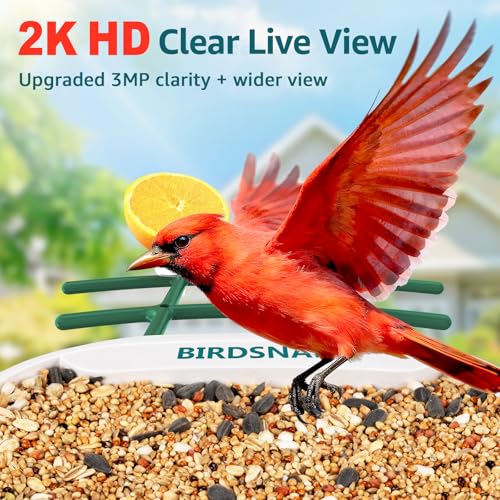 birdsnap® TUC Bird Feeder with Camera Solar Powered 2K Video with 32GB Card | AI Bird Species Identification, Squirrel-Proof, IP65 Waterproof, Outdoor Wireless, 2.4G WiFi, Gift for Mom Dad Bird Lovers - color: Yellow