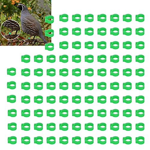 Omabeta 100PCS Reusable 8mm Pigeons Identification Leg Rings for Easy Dovecot Management and Marking, Lightweight Plastic Bands for Poultry Supplies (Green) - color: Green