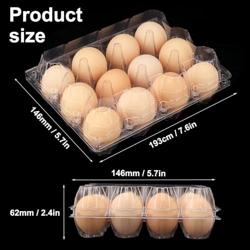 130 Packs 3 x 4 Clear Egg Cartons, 1 Dozen Plastic Egg Cartons, Transparent Chicken egg Trays Holds up to 12 Eggs for Storage and Market Display