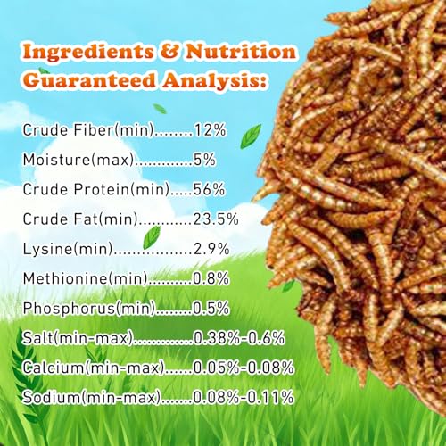 Amzey Dried Mealworms 5 LB, 100% Natural Meal Worms for Chicken & Birds, Organic Chicken Feed for Laying Hens, High Protein and Nutrition, Zipped Bag - size: 5 Pound (Pack of 1)