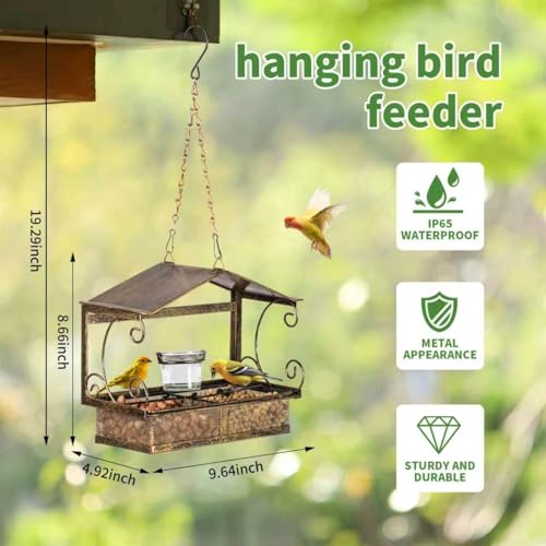 Window Bird Feeder for Outdoors | Glass Water Cup, Hook Chain Included, Attracts Wild Birds, Gift for Bird Lovers